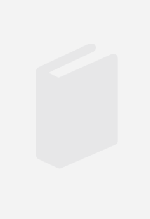 El mirador del viento