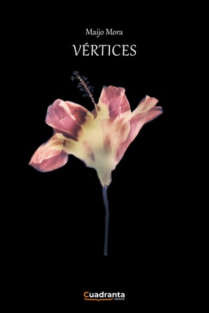 Vértices